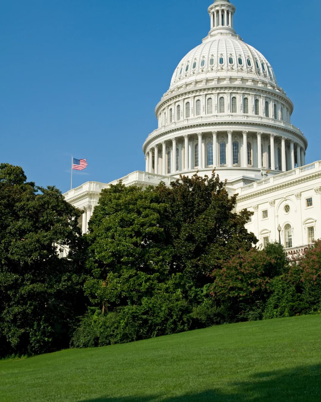 Entity Jurisdictional Structuring