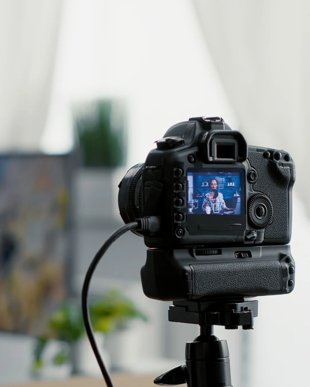 Agency & Talent Management