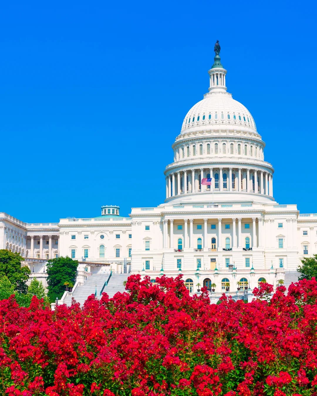 Carried Interest & Co-Investments