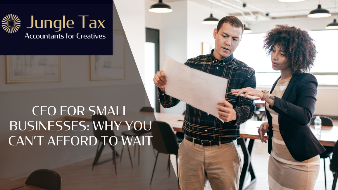 CFO for Small Businesses