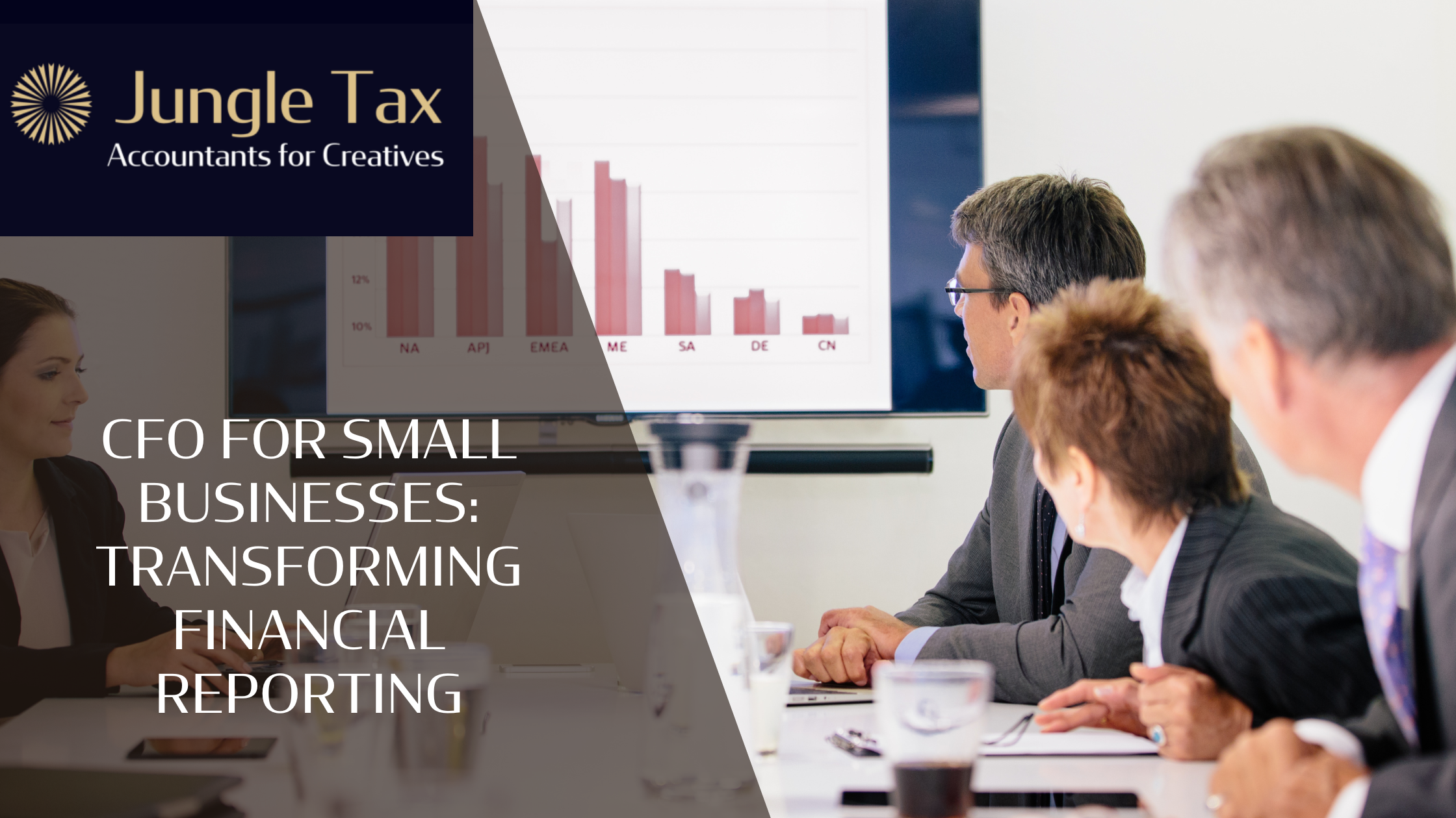 CFO for Small Businesses