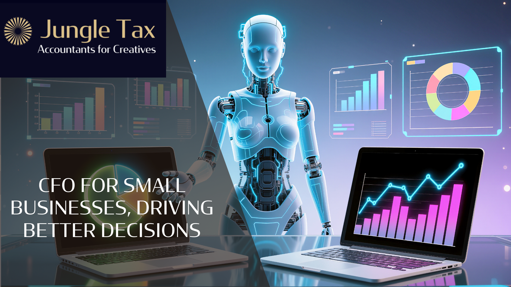 CFO for small businesses