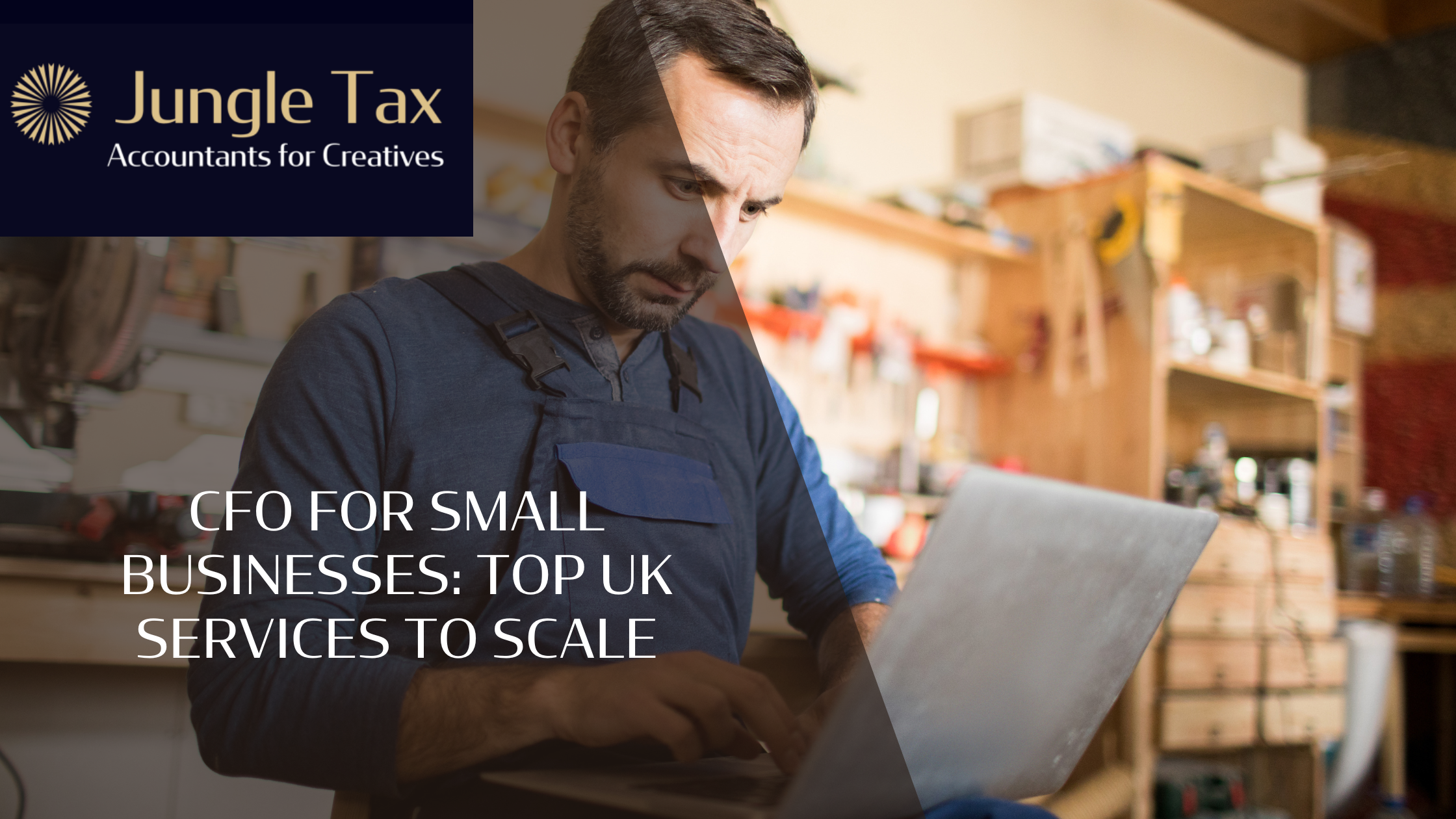 CFO for small businesses